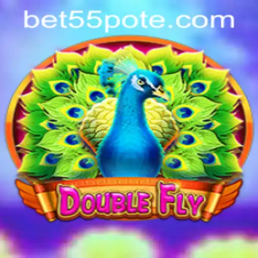 An In-Depth Exploration of DoubleFly and Bet55 PH Login