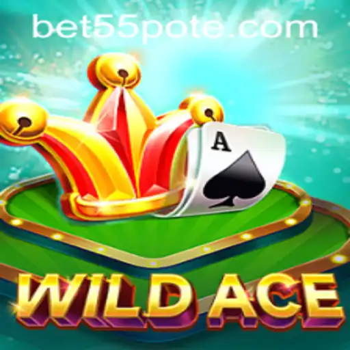 WildAce: An Exciting New Era in Online Gaming